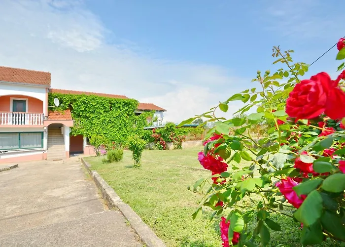 Apartmani Maca