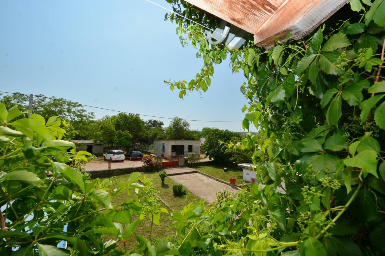 Maca Sikovo