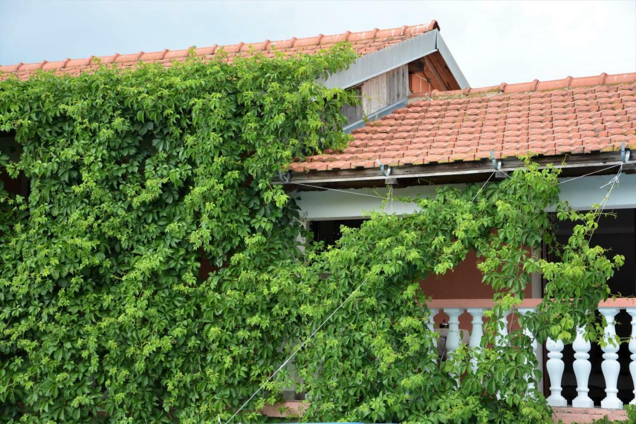 Apartment Maca Sikovo
